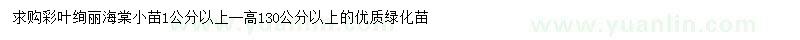求購1公分以上彩葉絢麗海棠小苗