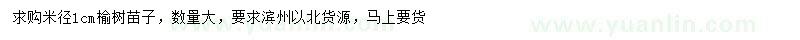 求購米徑1公分榆樹(shù)苗