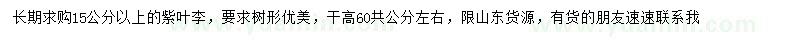 求購15公分以上紫葉李