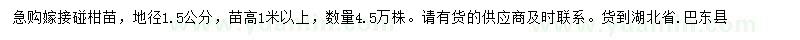 求購地徑1.5公分碰柑苗
