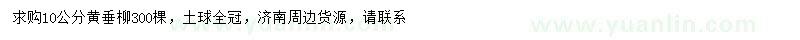 求購10公分黃垂柳