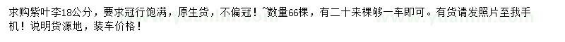 求購18公分紫葉李