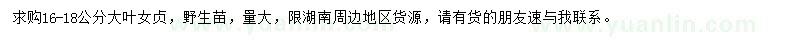 求購16-18公分大葉女貞
