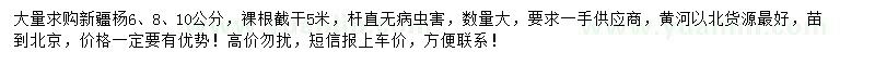 求購6、8、10公分新疆楊