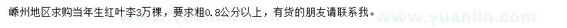求購粗0.8公分以上紅葉李