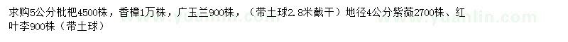 求購枇杷、香樟、廣玉蘭等