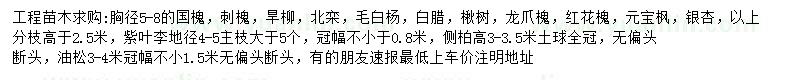 求購(gòu)國(guó)槐、刺槐、旱柳等