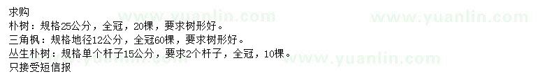 求購樸樹、三角楓、叢生樸樹