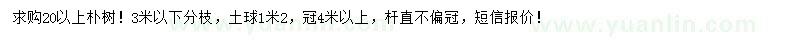 求購20公分以上樸樹