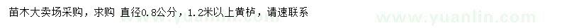 求購(gòu)直徑0.8公分黃櫨