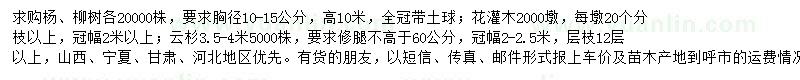 求購(gòu)楊樹、柳樹、云杉等