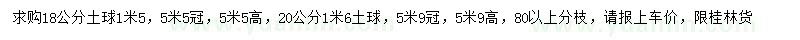 求購(gòu)18-20公分桂花