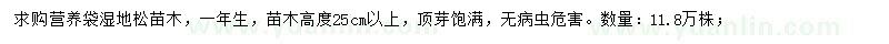 求購高25公分以上濕地松容器苗