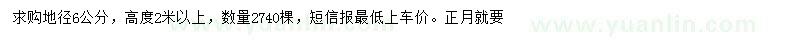 求購(gòu)地徑6公分木槿