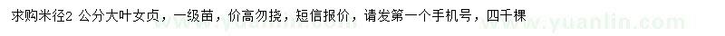 求購米徑2公分大葉女貞
