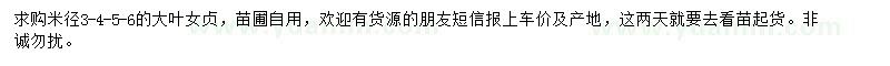 求購米徑3-6大葉女貞
