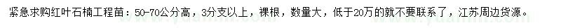求購50-70公分高紅葉石楠