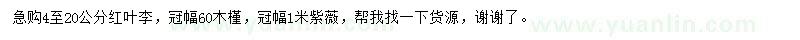 求購紅葉李、木槿、紫薇