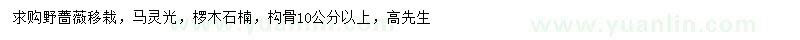 求購野薔薇、馬靈光、欏木石楠等