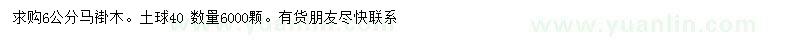 求購6公分馬褂木