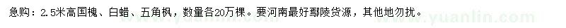 求購國槐、白蠟、五角楓