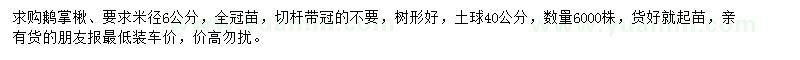 求購6公分鵝掌楸