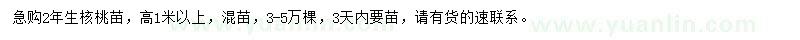 求購2年生核桃苗