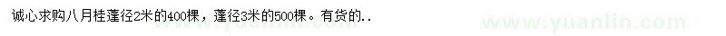 求購八月桂