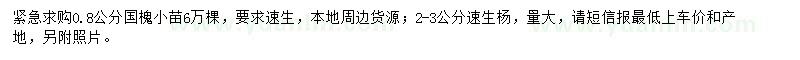 求購0.8公分國槐小苗、2-3公分速生楊