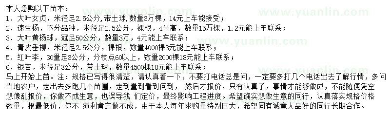 求購大葉女貞、速生楊、大葉黃楊球等