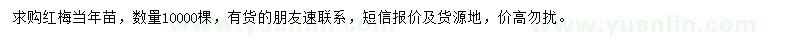 求購紅梅當(dāng)年苗