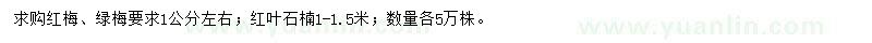 求購紅梅、綠梅、紅葉石楠獨桿苗