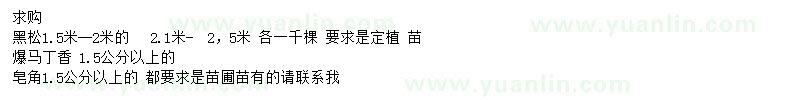 求購(gòu)黑松、暴馬丁香、皂角