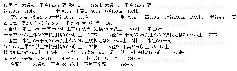 求購黑松、油松、垂柳等