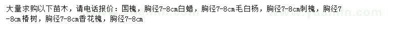 求購(gòu)國(guó)槐、白蠟、毛白楊等