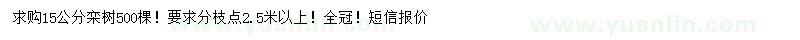 求購(gòu)15公分欒樹(shù)