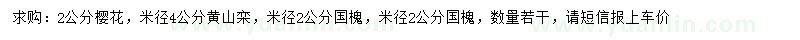 求購(gòu)櫻花、黃山欒、國(guó)槐
