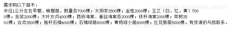 求購櫻苗、太陽李、金桂等