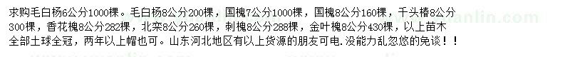 求購毛白楊、國槐、千頭椿等