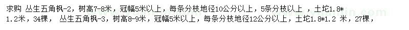 求購高7-8米五角楓