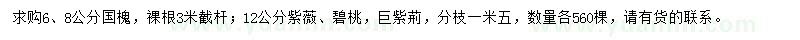 求購國槐、紫薇、碧桃等