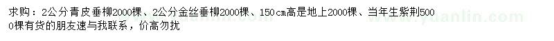 求購青皮垂柳、金絲垂柳、紫荊