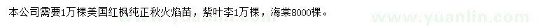 求購美國紅楓、紫葉李、八角海棠