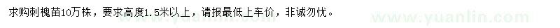 求購高1.5米以上刺槐苗