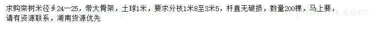 求購米徑24-25公分欒樹