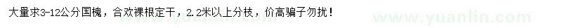 求購(gòu)3-12公分國(guó)槐
