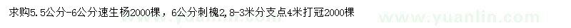 求購(gòu)5.5-6公分速生楊、6公分刺槐