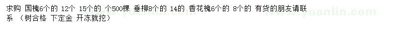 求購(gòu)國(guó)槐、垂柳、香花槐