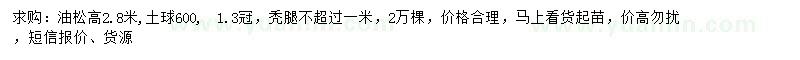 求購(gòu)高2.8米油松
