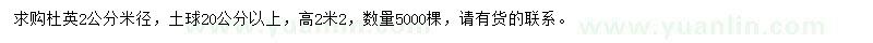 求購米徑2公分杜英